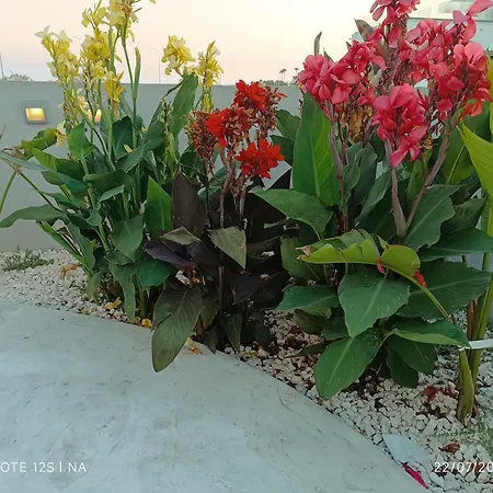 Вилла Blue Aura Larnaca *