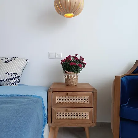 Blue Aura Larnaca 别墅 *