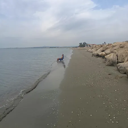 别墅 Blue Aura Larnaca